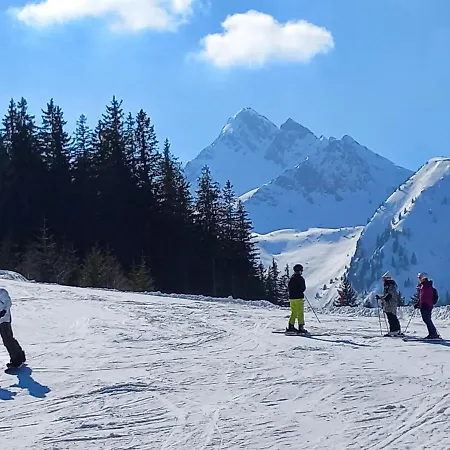 In Kaprun Near Slopes Апартаменты Friedensbach